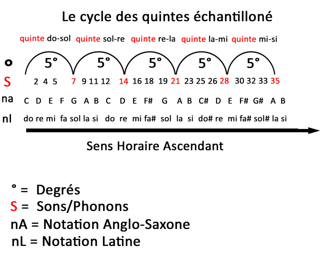 cycle échantilloné